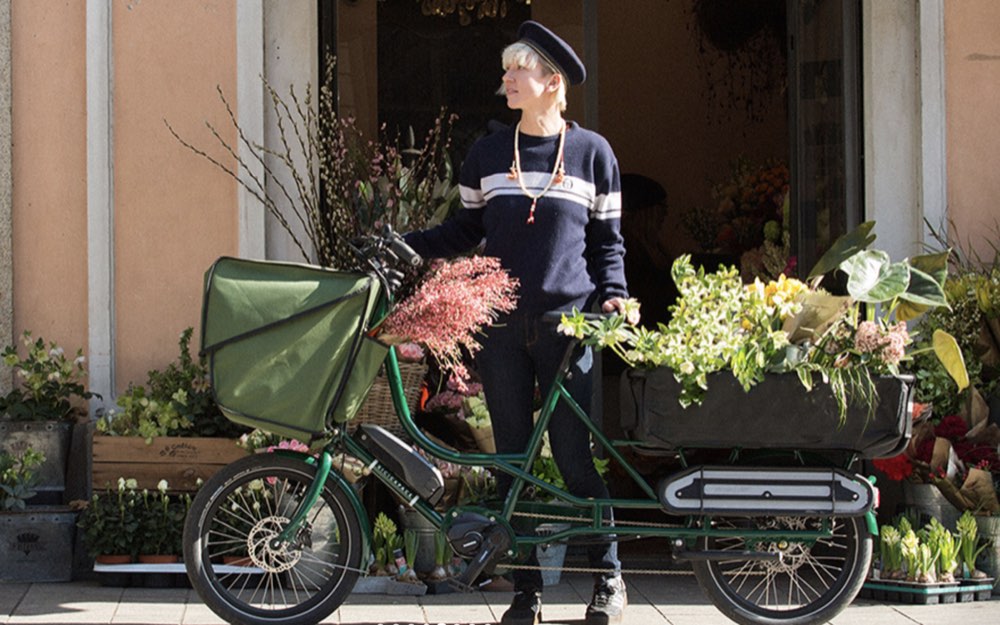 Cesta Trasera Bicicapace
