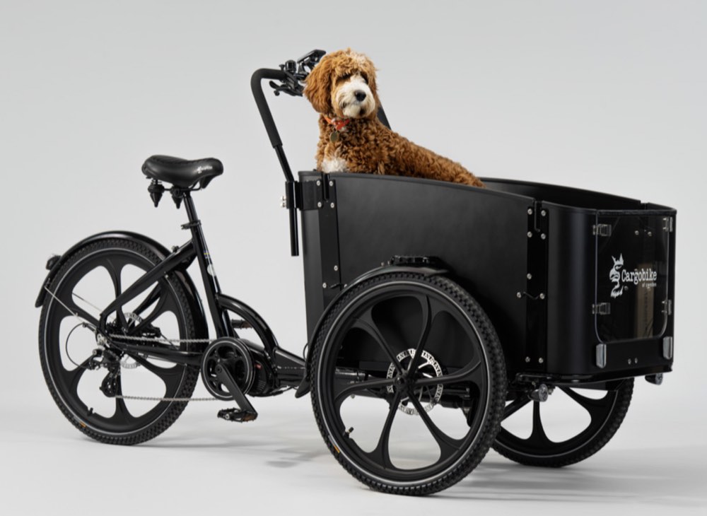 Cargobike DeLight Dog