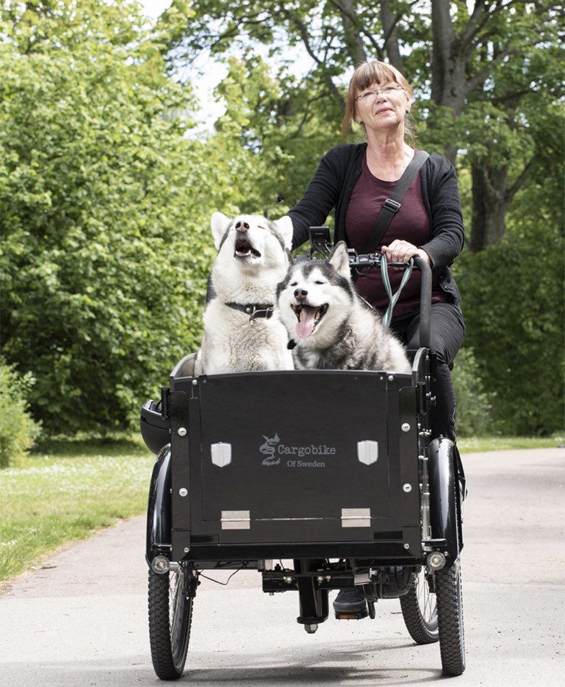 Cargobike DeLight Dog