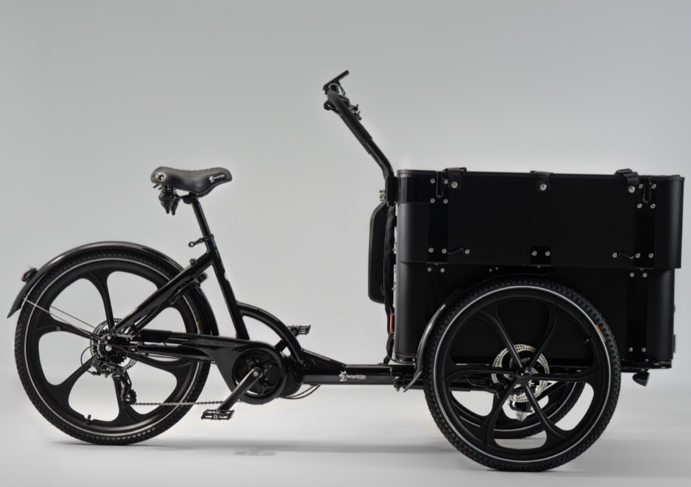 Cargobike DeLight Kindergarden