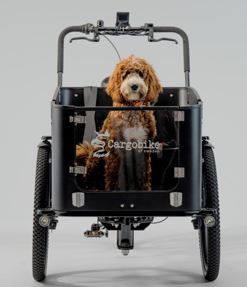 Cargobike Flex Dog
