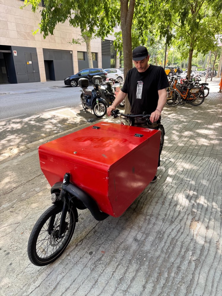 TRIOBIKE CARGO BIG CON ASISTENCIA ELECTRICA de Segunda Mano