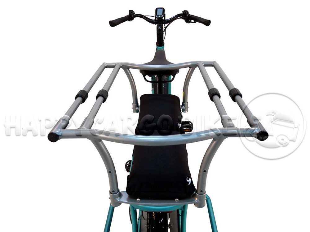 Monkey Bars Adjustable