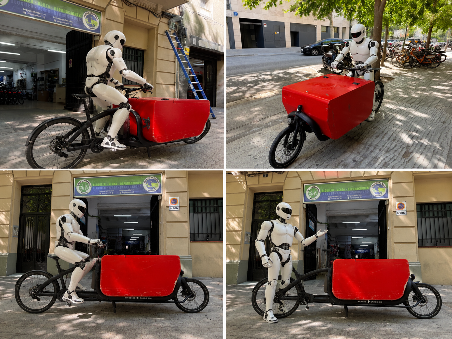 TRIOBIKE Cargo Big d’occasion
