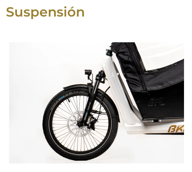 Bicicleta Eléctrica BKL TWC Kids Drive