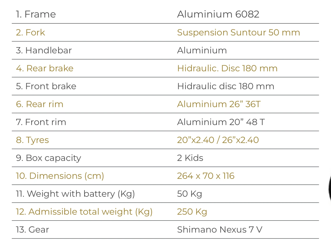 Bicicleta Eléctrica BKL TWC Kids Drive