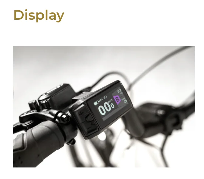 BKL Box 1000 Triciclo Elétrico