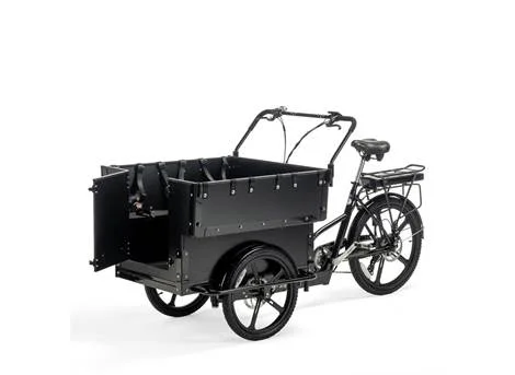 Cargobike Classic Kindergarten