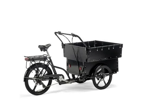 Cargobike Classic Kindergarten