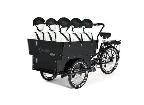 Cargobike Classic Kindergarten