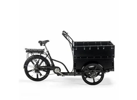 Cargobike Classic Kindergarten