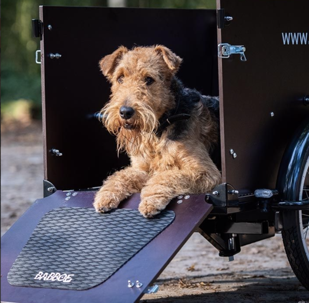 Happy Cargo Bike