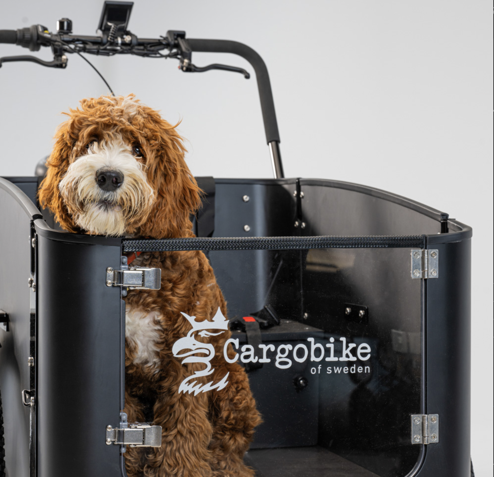 Capture d’écran 2025-03-02 à 14.53.17