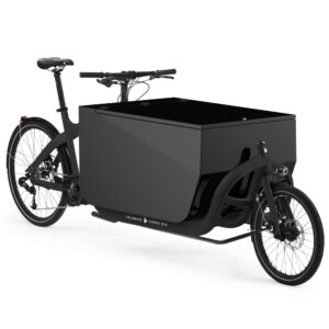 TRIOBIKE Cargo BIG