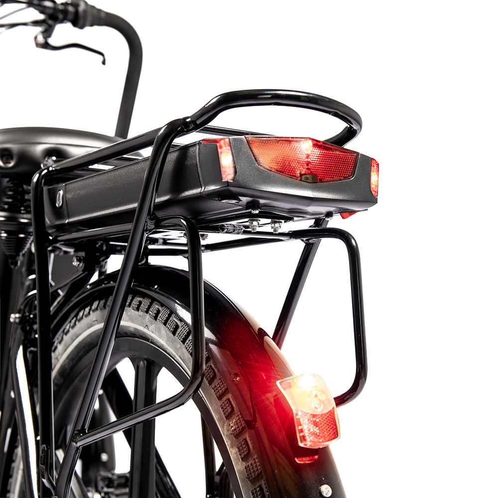 1170-1 Cargobike Flex Nova-Webb-10