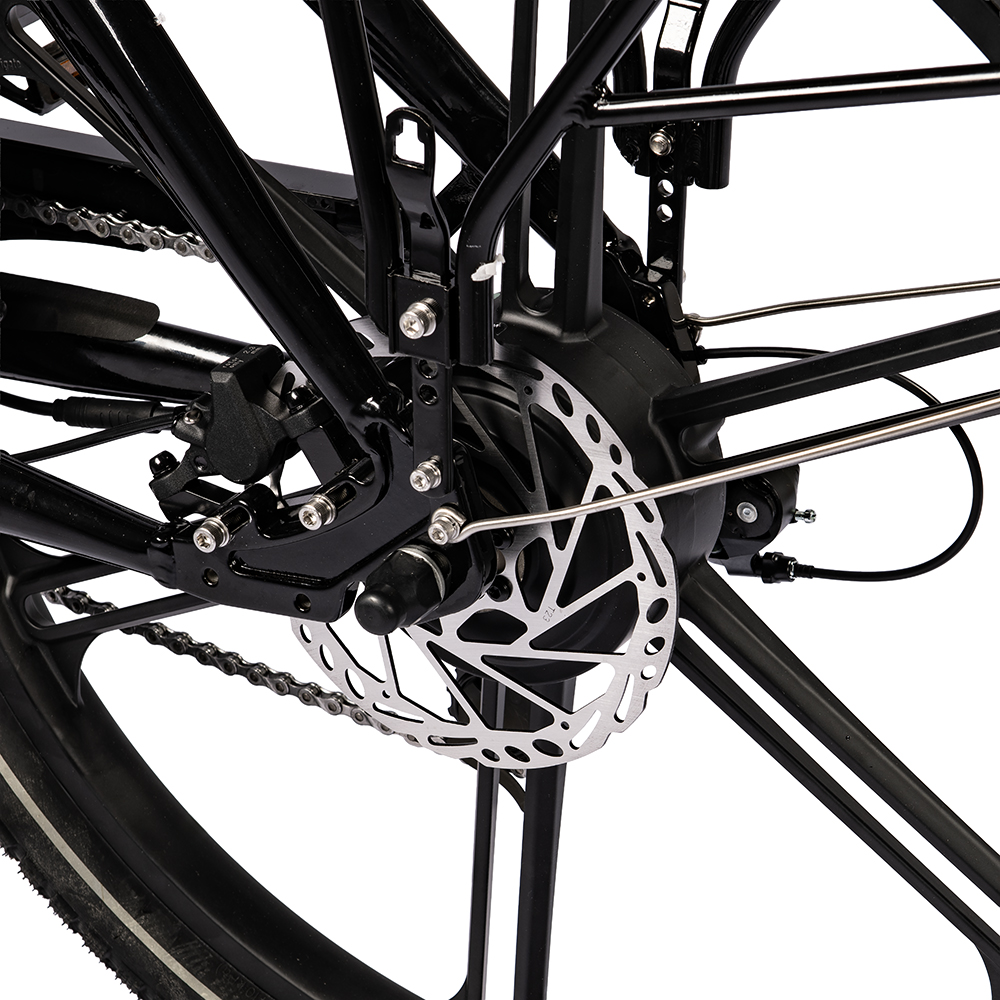 1170-1 Cargobike Flex Nova-Webb-11