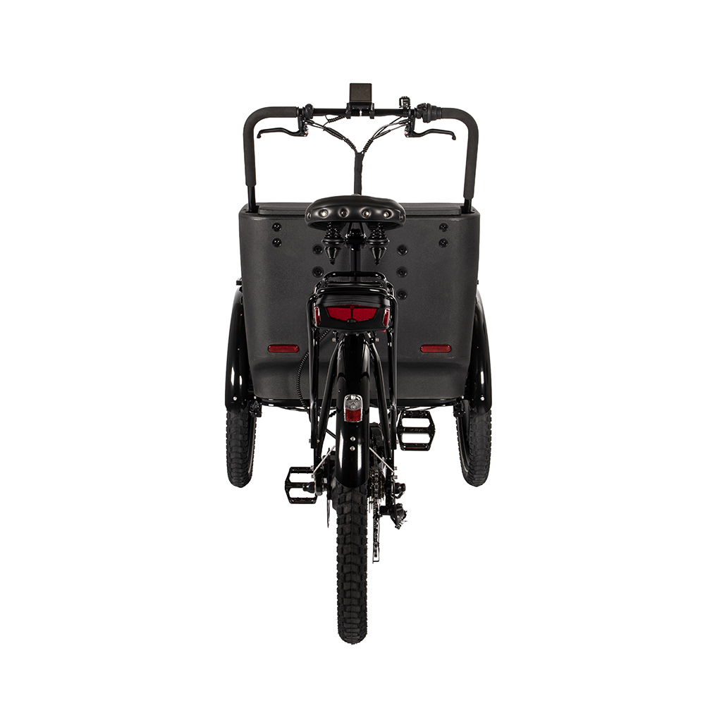 1170-1 Cargobike Flex Nova-Webb-4