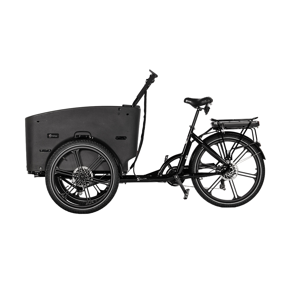 1170-1 Cargobike Flex Nova-Webb-5