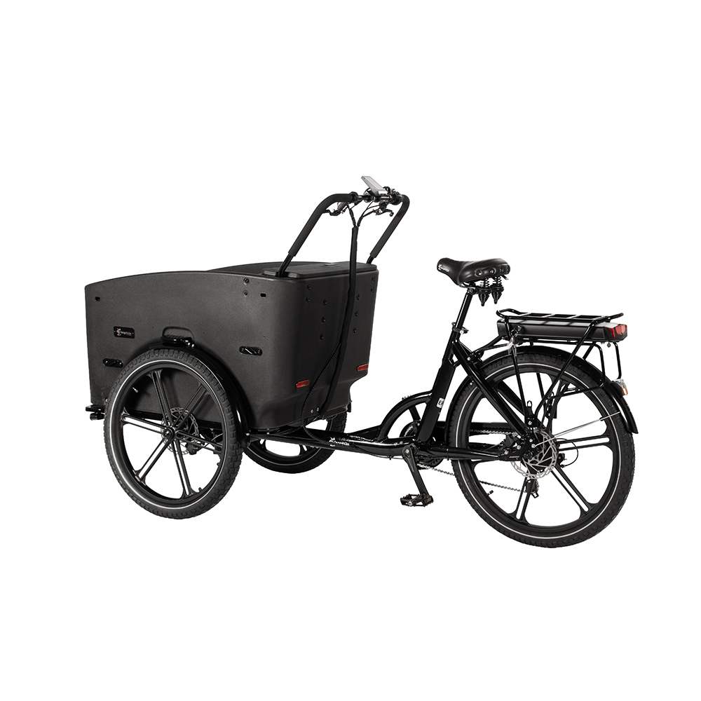 1170-1 Cargobike Flex Nova-Webb-7