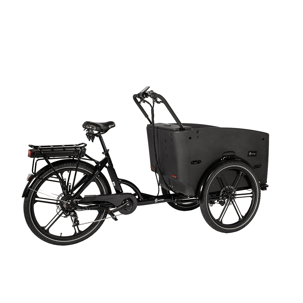 1170-1 Cargobike Flex Nova-Webb-8